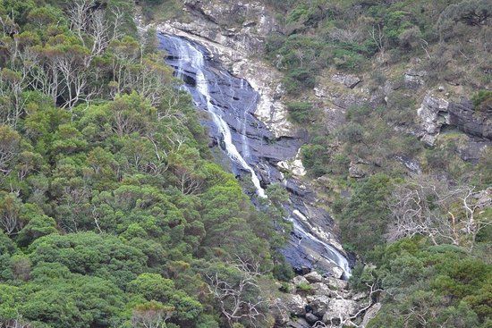 Carisbrook Waterfall