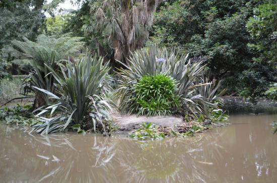 Buninyong Botanical Gardens