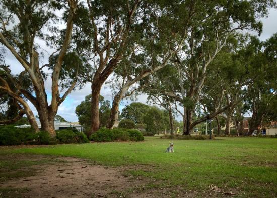 Banjo Paterson Park