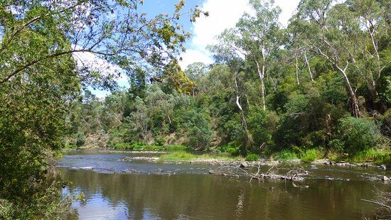 Warrandyte River Reserve