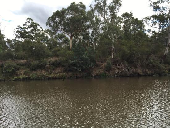Westerfolds Park