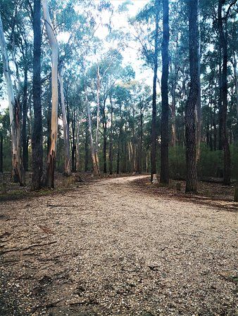 Moggs Creek Picnic Area