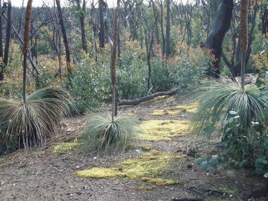 You Yangs Regional Park