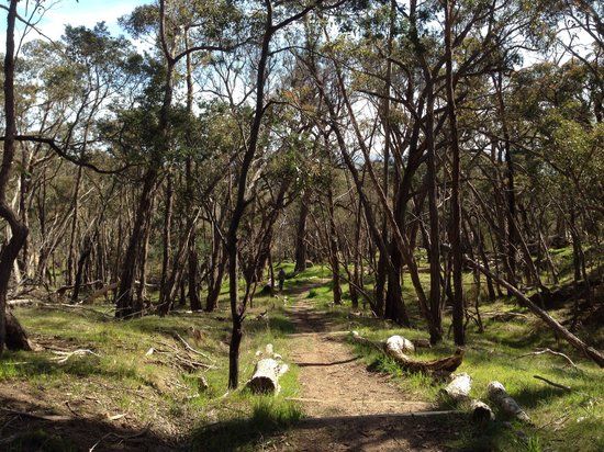 Blackhill Reserve