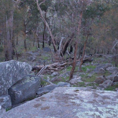 Mount Alexander