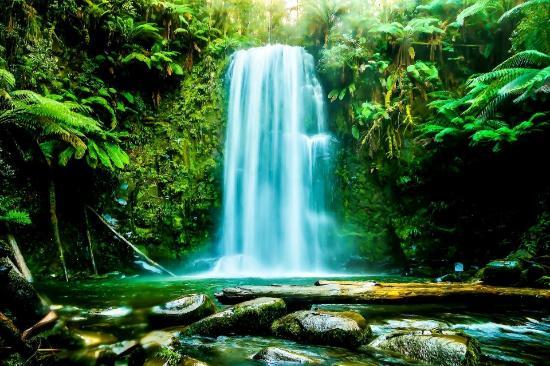 Beauchamp Falls