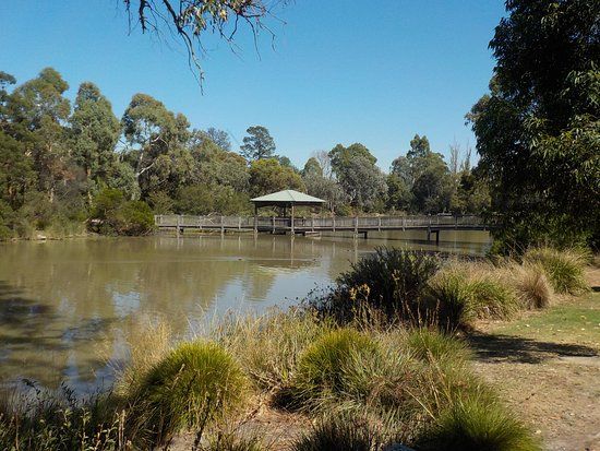 Ringwood Lake