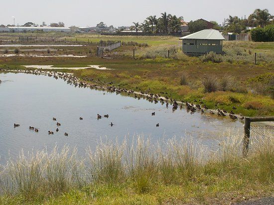 Truganina Swamp