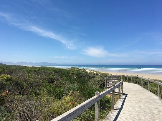 Waratah Beach