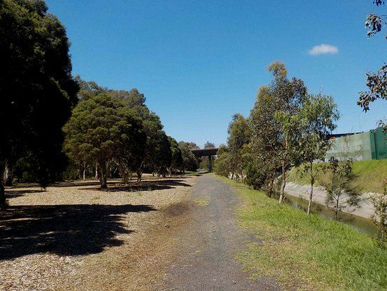 Braddy Reserve