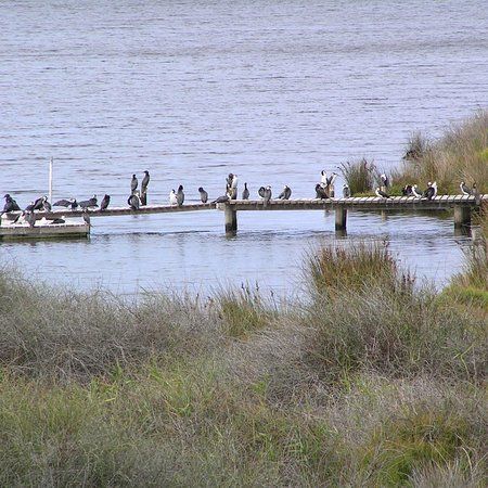 Lake Connewarre Wildlife Reserve