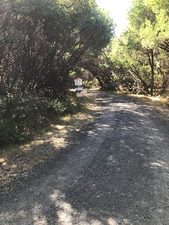Point Smythe Nature Trail