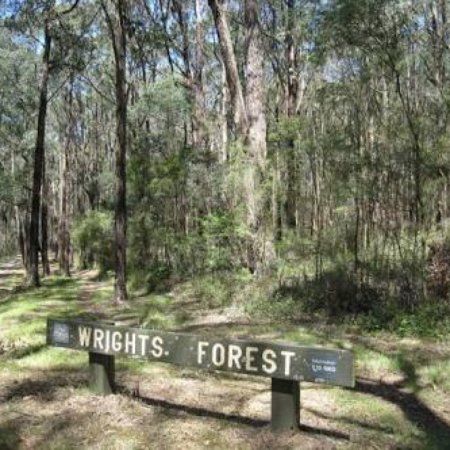 Wright Forest Bushland Reserve