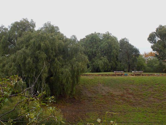 South Yarra Siding Reserve