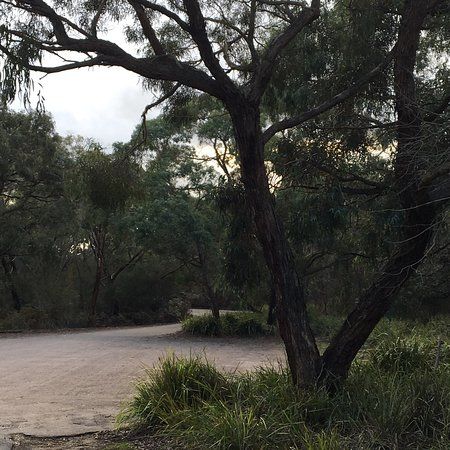 Stringybark Picnic Area