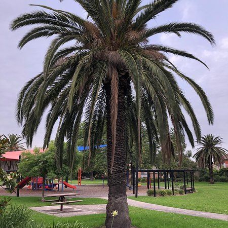 Garden Avenue Reserve