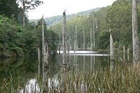 Otway Ranges