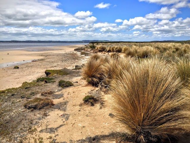 Point Smythe Coastal Reserve