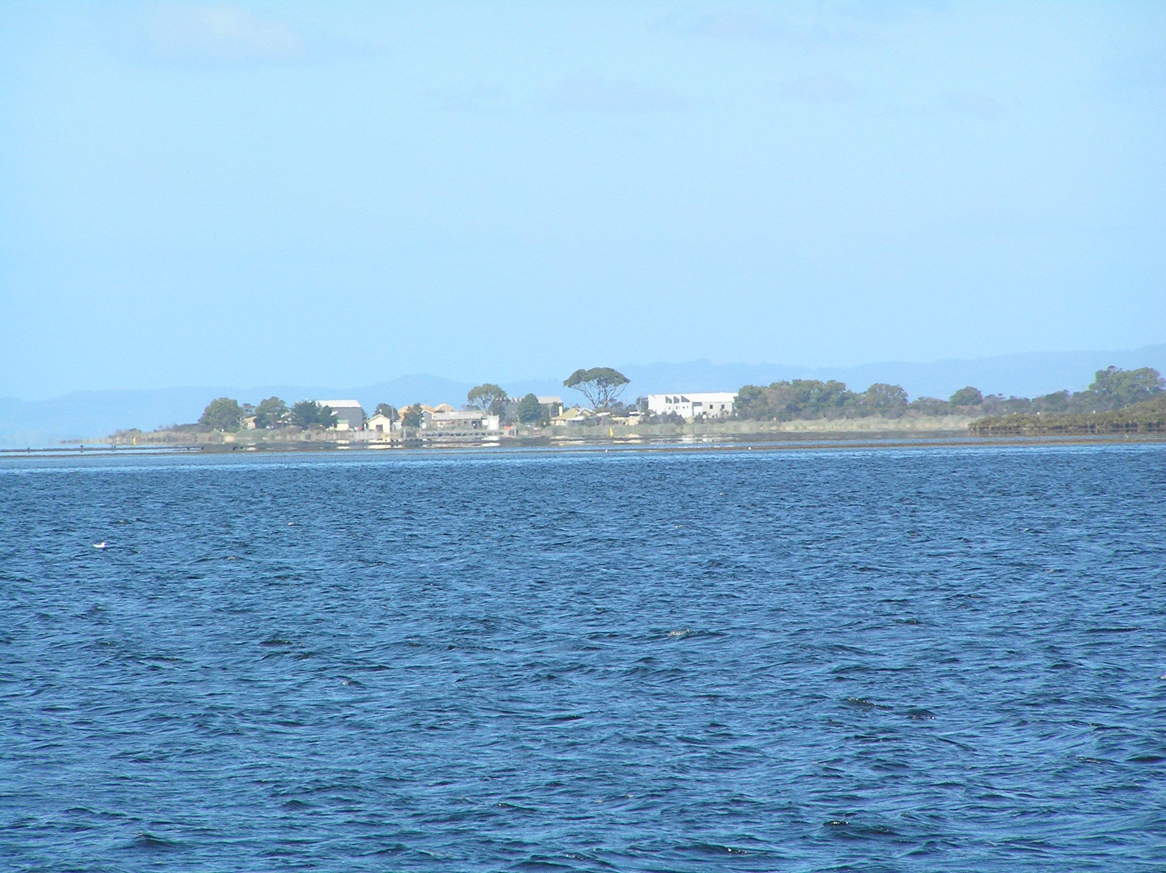 Swan Island