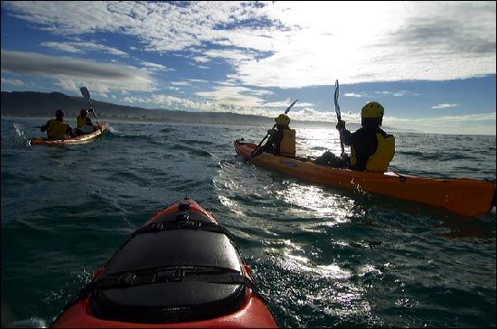 Apollo Bay Surf & Kayak