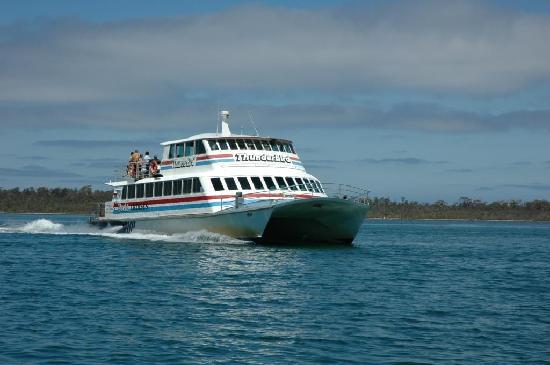 Peels Tourist and Ferry Service