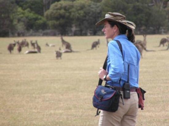 Echidna Walkabout - Day Tours
