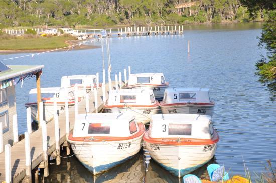 Mallacoota Hire Boats