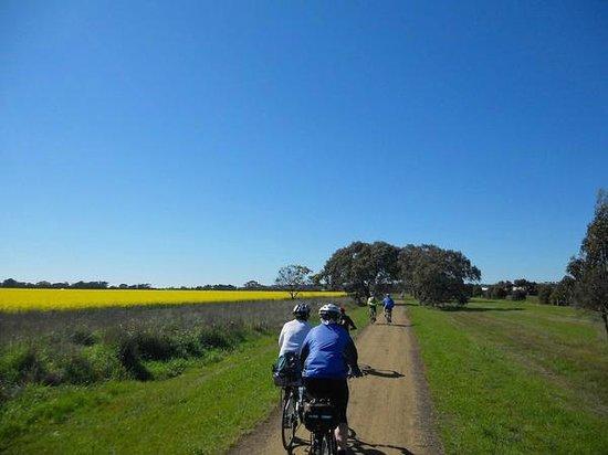 Bellarine Rail Trail