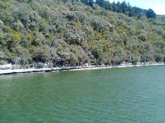 Nelson River Cruises