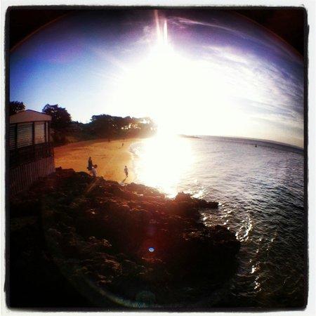 APT Phillip Island Day Tour