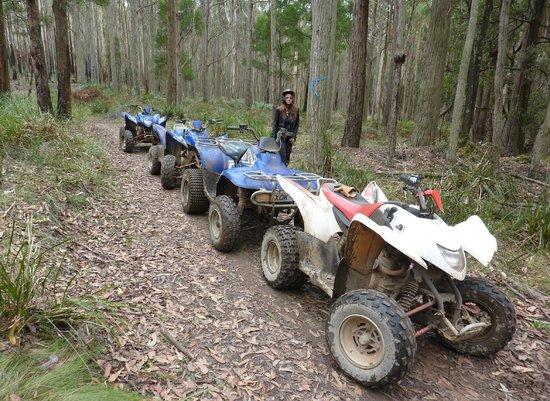 Victorian Quad Bike Tours