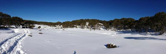 Erica Ski Hire