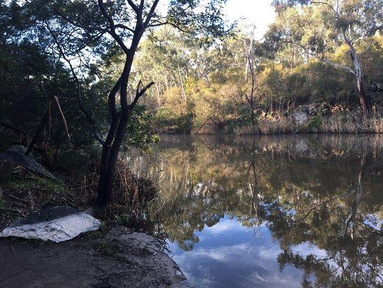 Jumping Creek Reserve