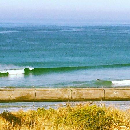 Great Ocean Road Surf Tours - Day Tours