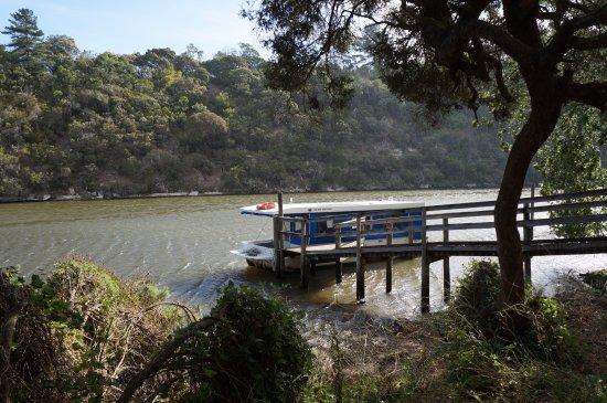 Nelson Boat and Canoe Hire