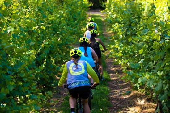 Peninsula Pedal Tours