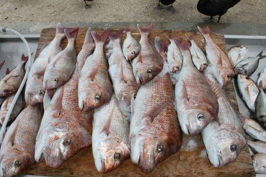 FarOut Charters
