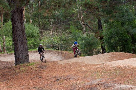 Anglesea Bike Park