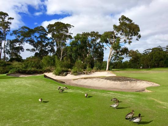 Metropolitan Golf Club