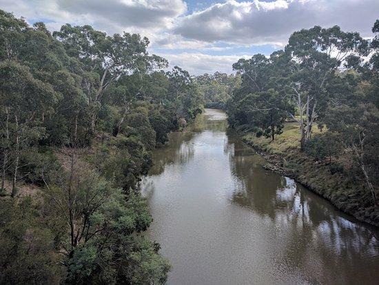 Main Yarra Trail
