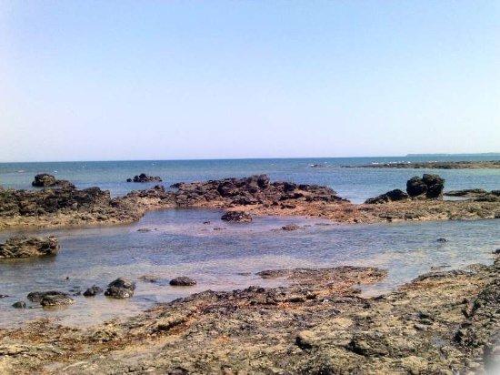 Balnarring Beach