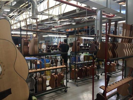 Maton Guitars