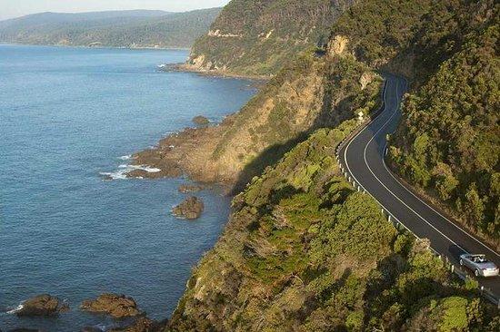 Melbourne City Tours and Airport Transfers