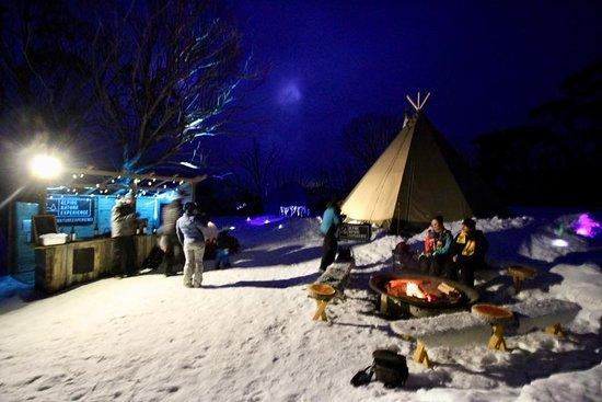 Alpine Nature Experience