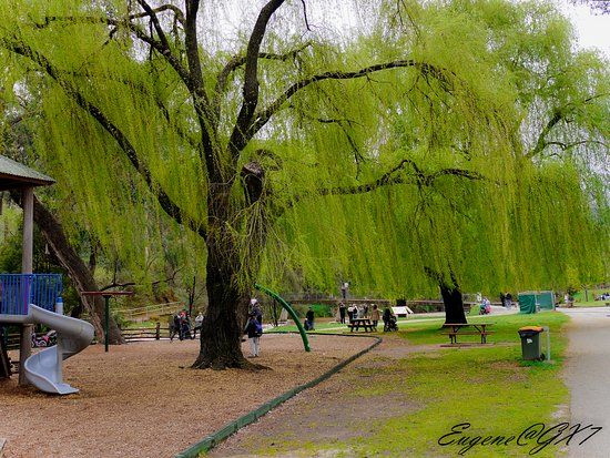 Howitt Park