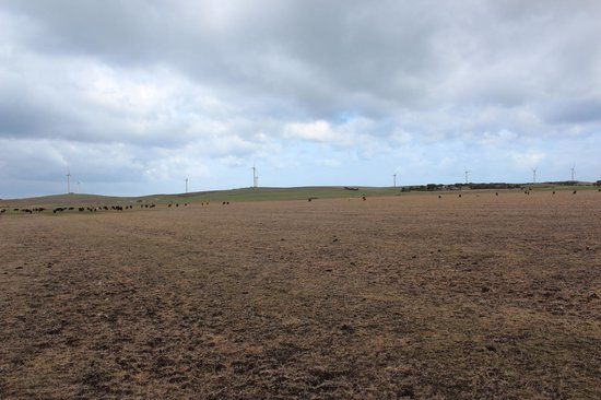 Codrington Wind Farm