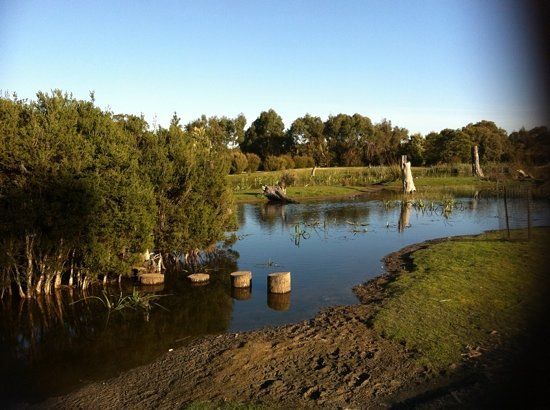 Moonlit Sanctuary Wildlife Conservation Park