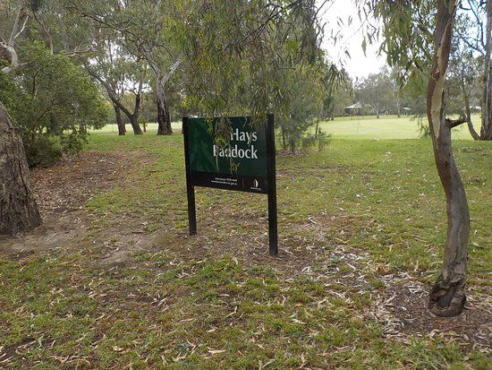 Hays Paddock