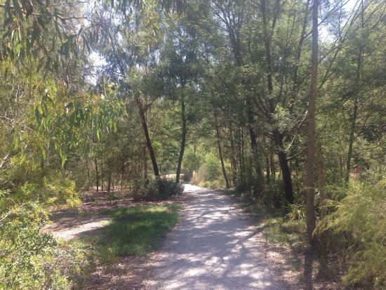 Kalang Park