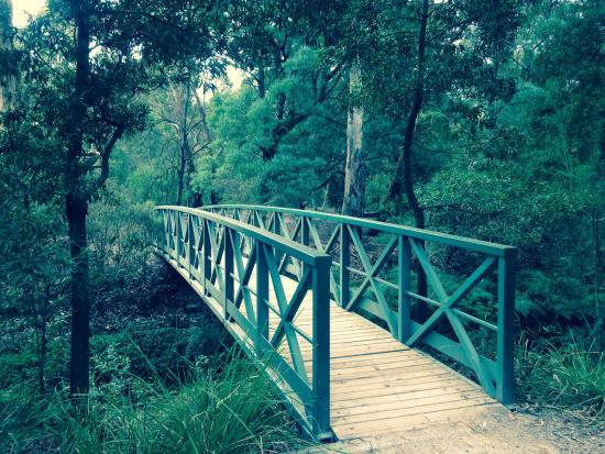 Blacks Walk Reserve